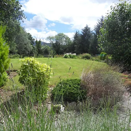 Ethan * Κιλάρνεϊ