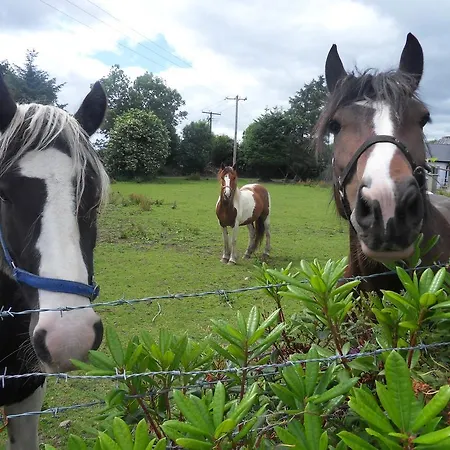 Σπίτι διακοπών Ethan *