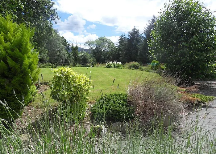 Ethan * Килларни