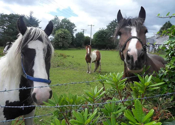 Prázdninový dům Ethan *